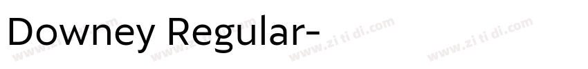 Downey Regular字体转换